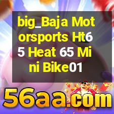 Kawasaki 65cc Dirt Bikes  Sale on Baja Motorsports Ht65 Heat 65 Mini Bike  Motorcycles For Sale